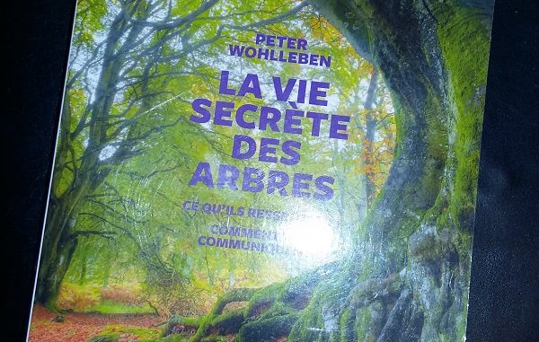 LaVieSecreteDesArbres